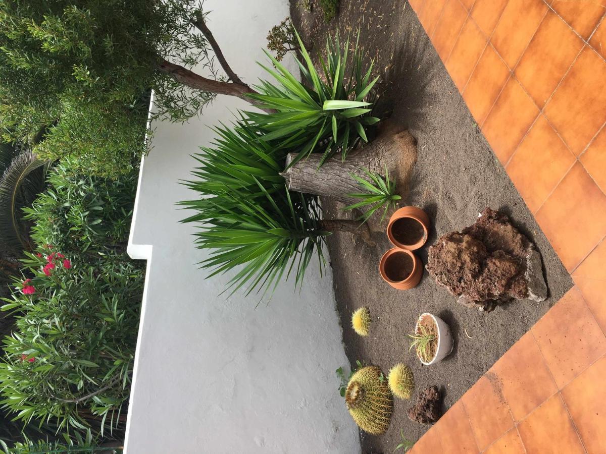 Apartamento Con Jardin Y Piscina B Puerto de la Cruz  Exteriör bild