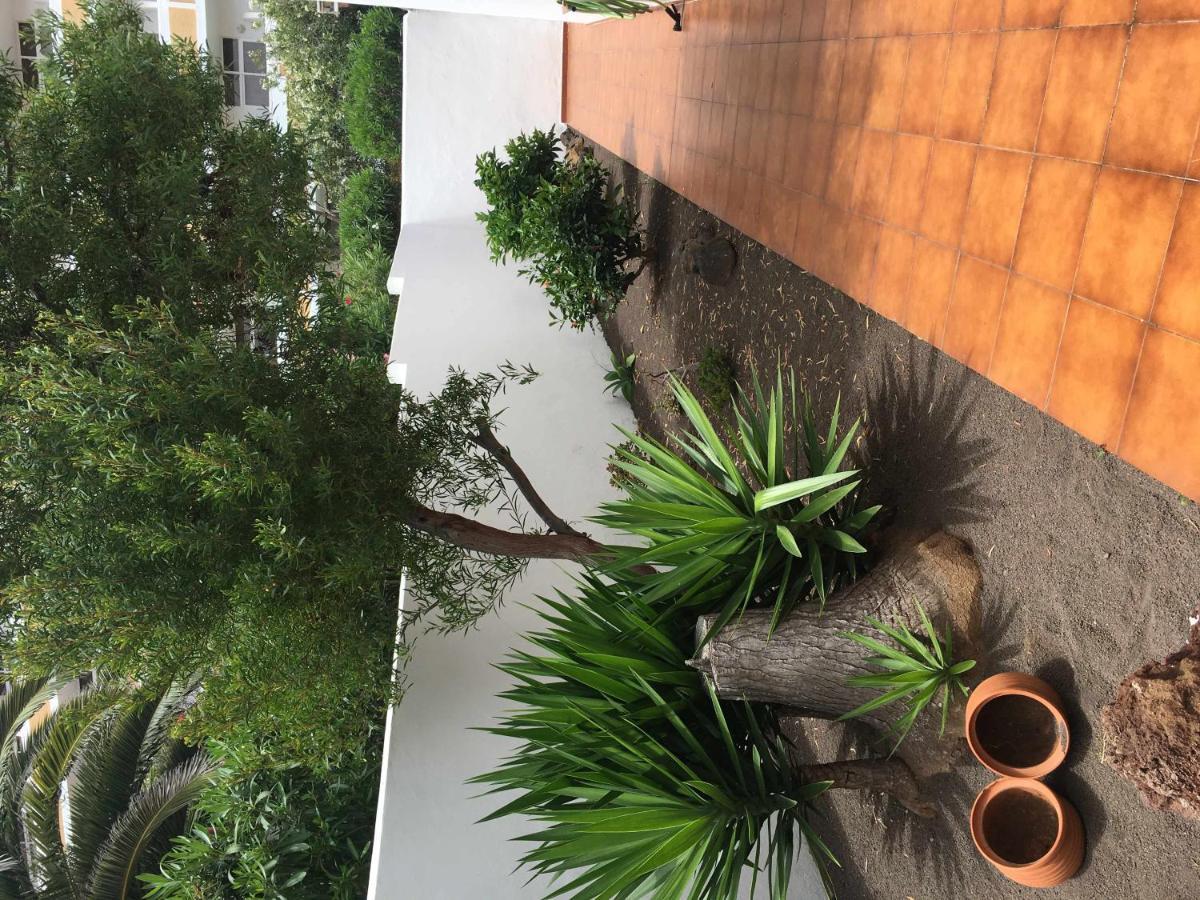 Apartamento Con Jardin Y Piscina B Puerto de la Cruz  Exteriör bild